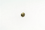 Steel Cap Nut 3/8 - ArmorThane Shop