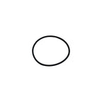 Amaano 248136-R Air Cylinder Cap O-Ring, Reusable (10 Pk) – Fusion AP - ArmorThane Shop