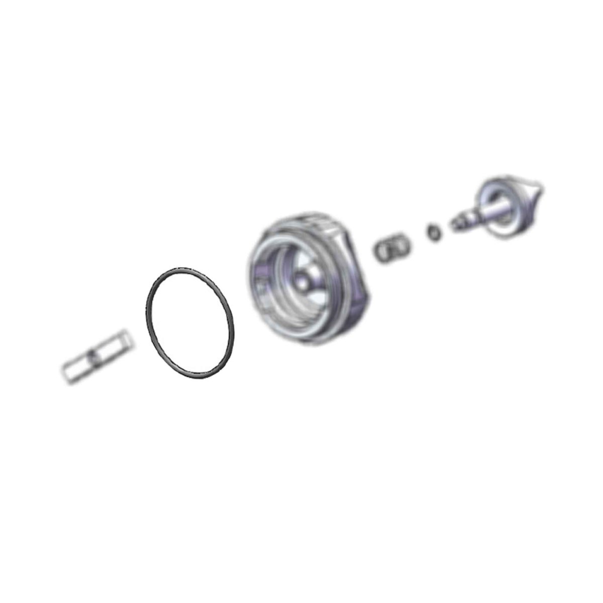 Carlisle ST1 End Cap O-Rings, 2-Pack (336420) - ArmorThane Shop Main image