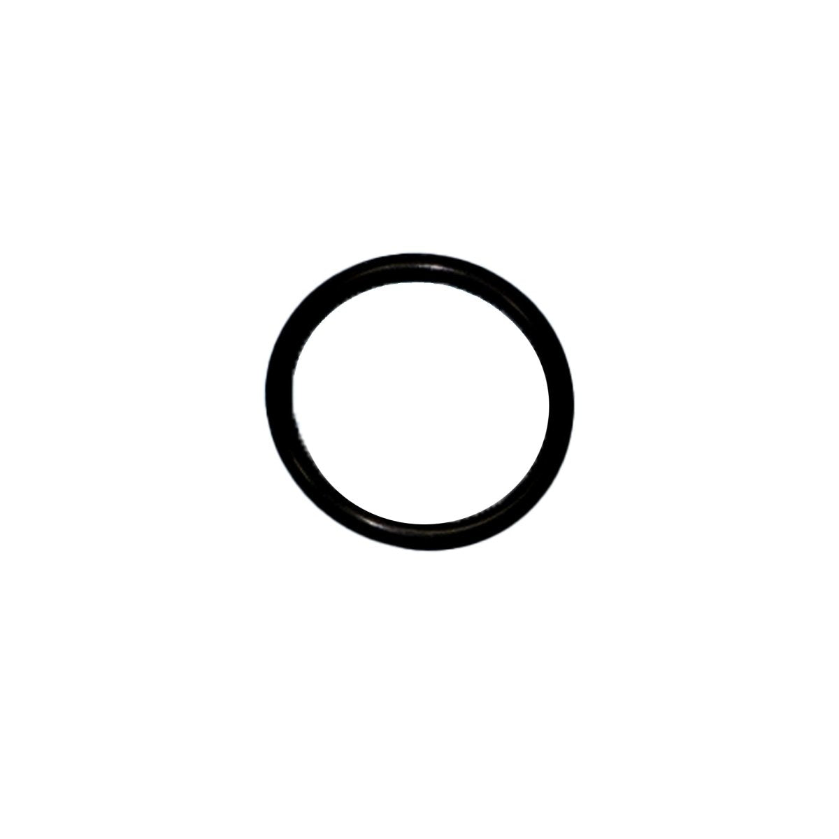 Graco Probler P2 O-Ring (C20207) - ArmorThane Shop