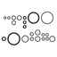 Graco Probler P2 Premium O-Ring Kit (GC1950) - ArmorThane Shop