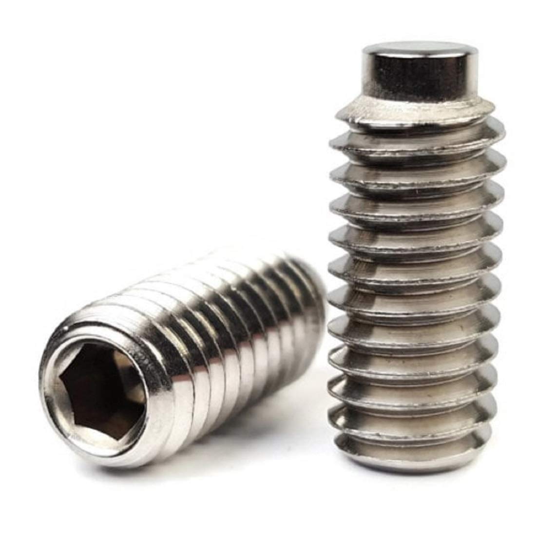 Screw, Half Dog 8 - ArmorThane Shop Main image